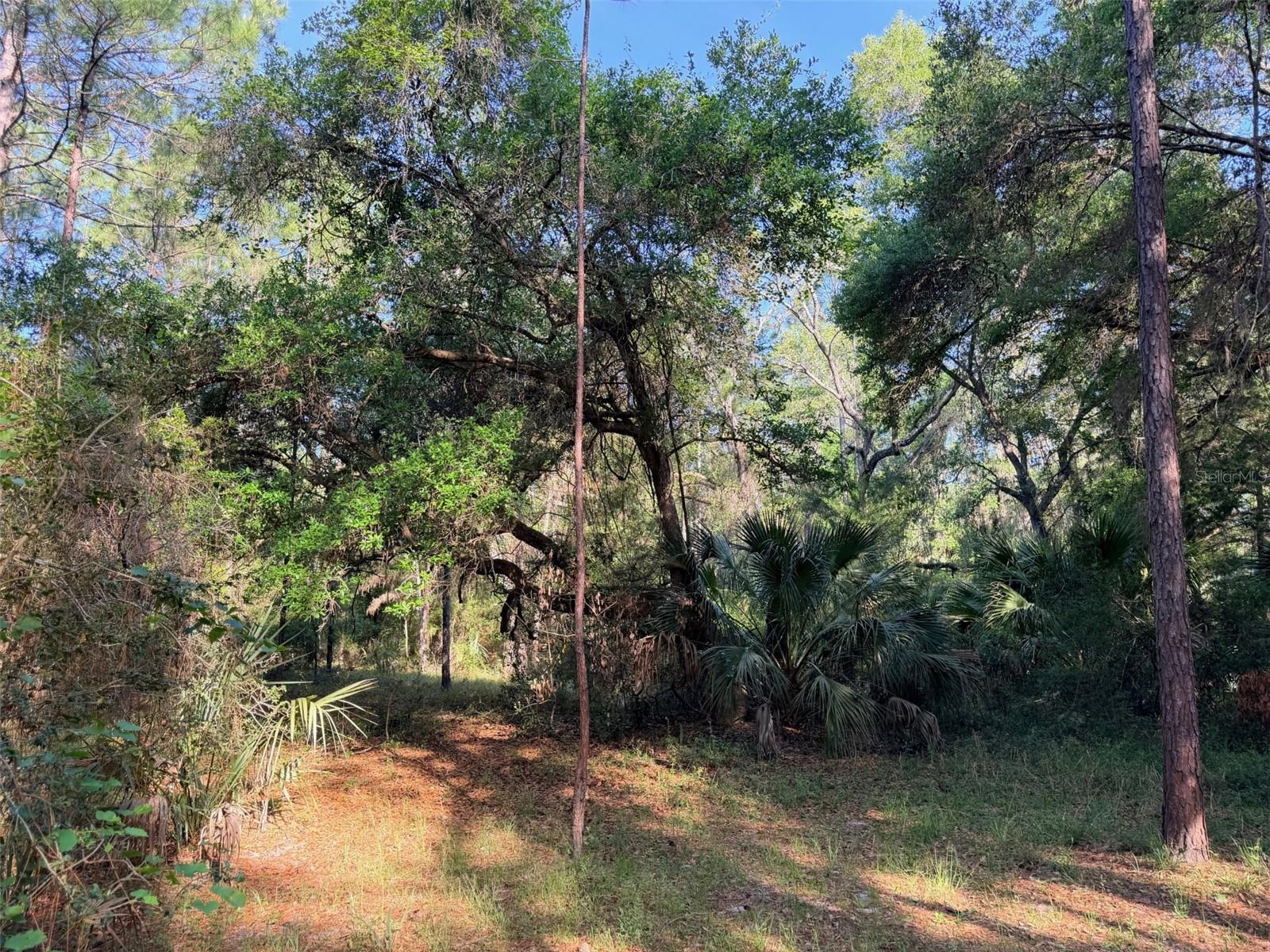 Image 15 of 22 For 6650 110th Avenue