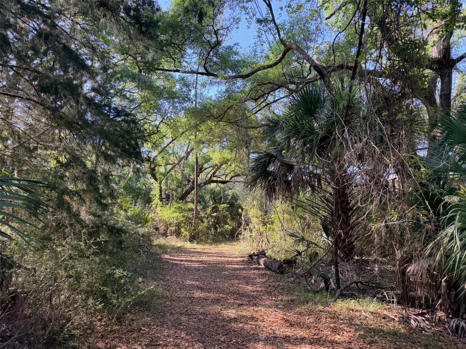 Image 16 of 22 For 6650 110th Avenue