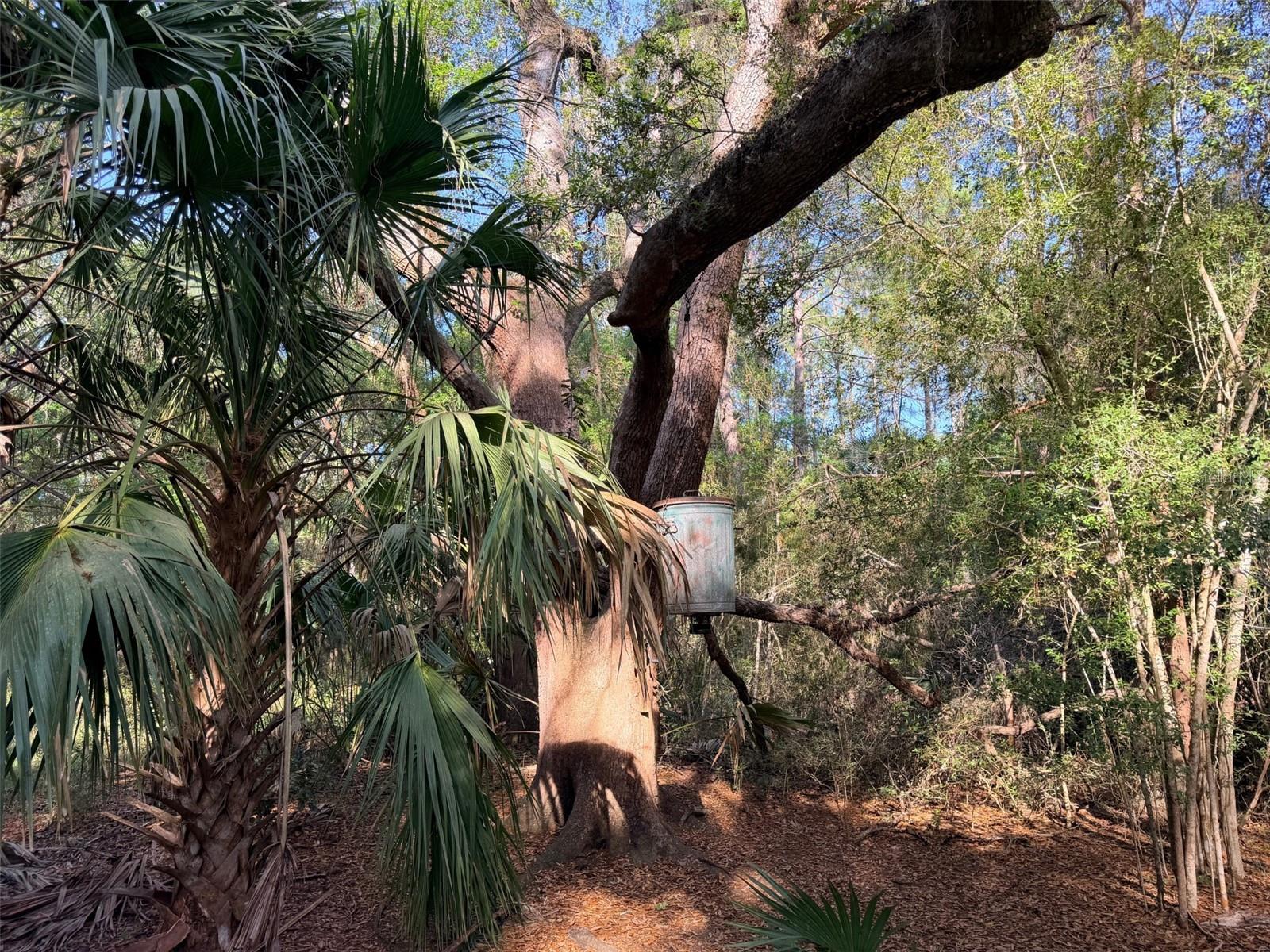 Image 17 of 22 For 6650 110th Avenue