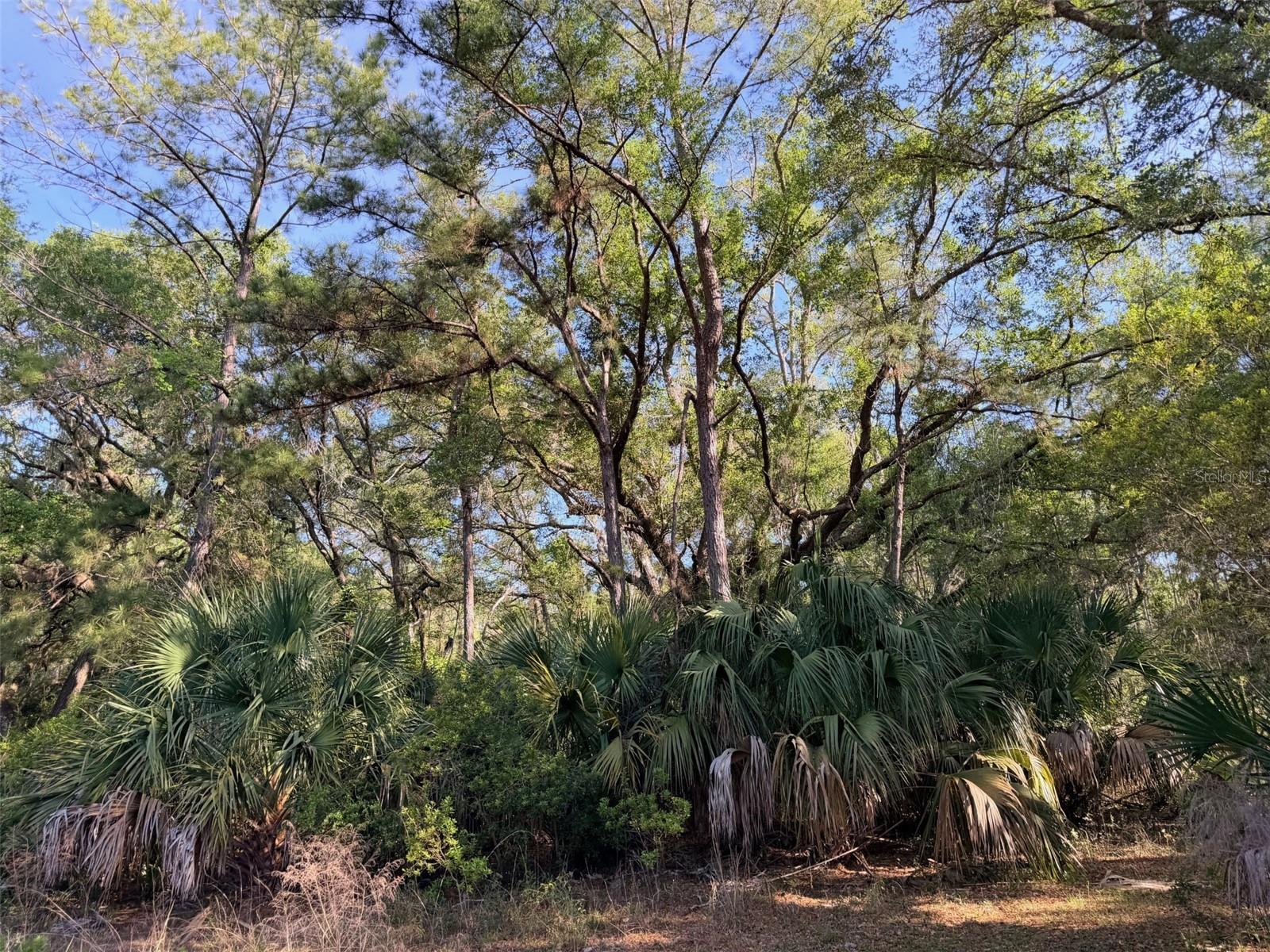 Image 18 of 22 For 6650 110th Avenue