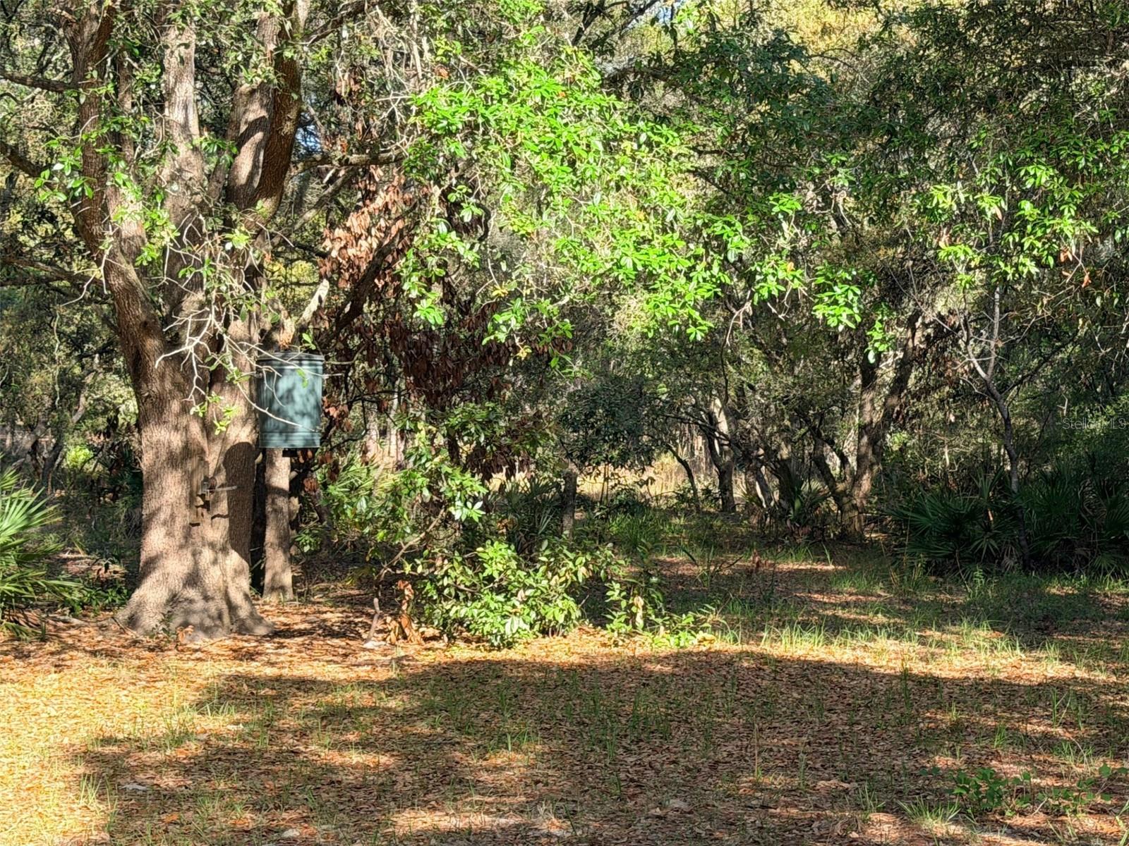 Image 19 of 22 For 6650 110th Avenue