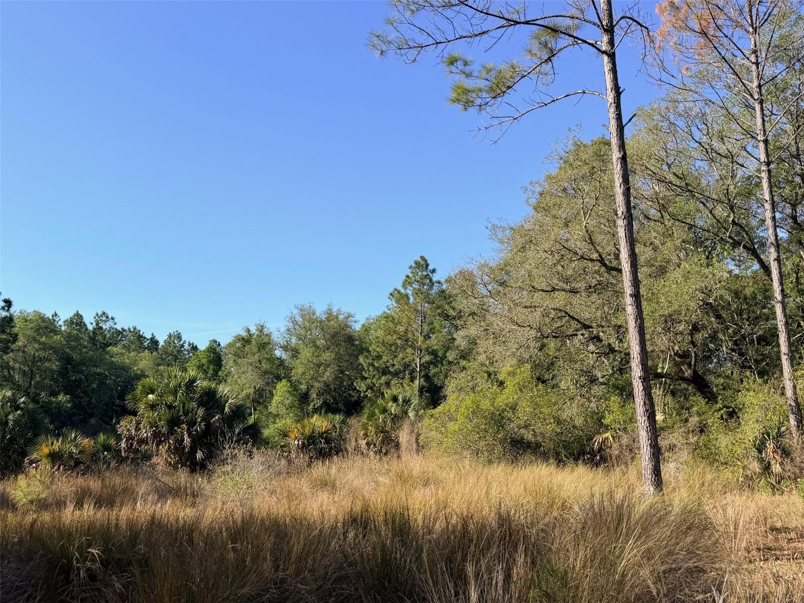 Image 2 of 22 For 6650 110th Avenue