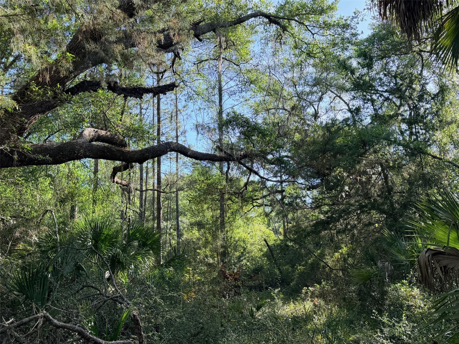 Image 20 of 22 For 6650 110th Avenue