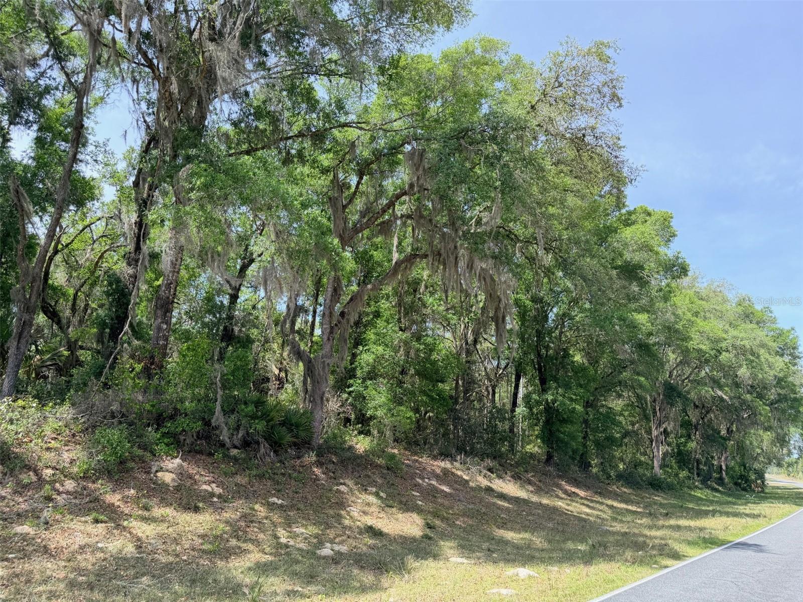 Image 21 of 22 For 6650 110th Avenue