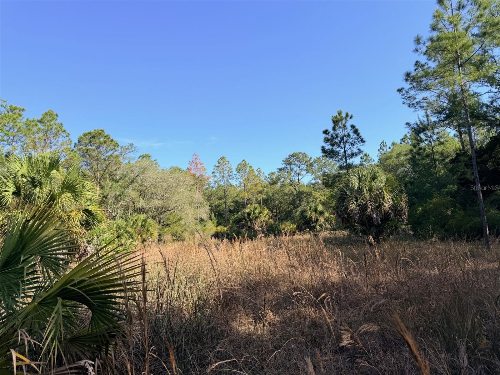 Image 22 of 22 For 6650 110th Avenue