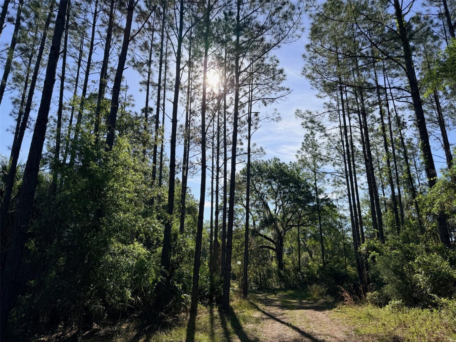 Image 4 of 22 For 6650 110th Avenue