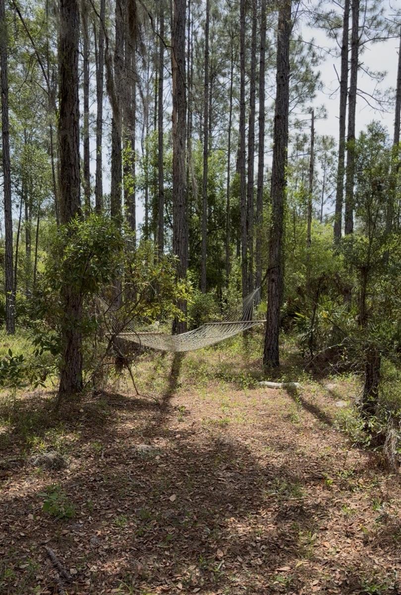 Image 5 of 22 For 6650 110th Avenue