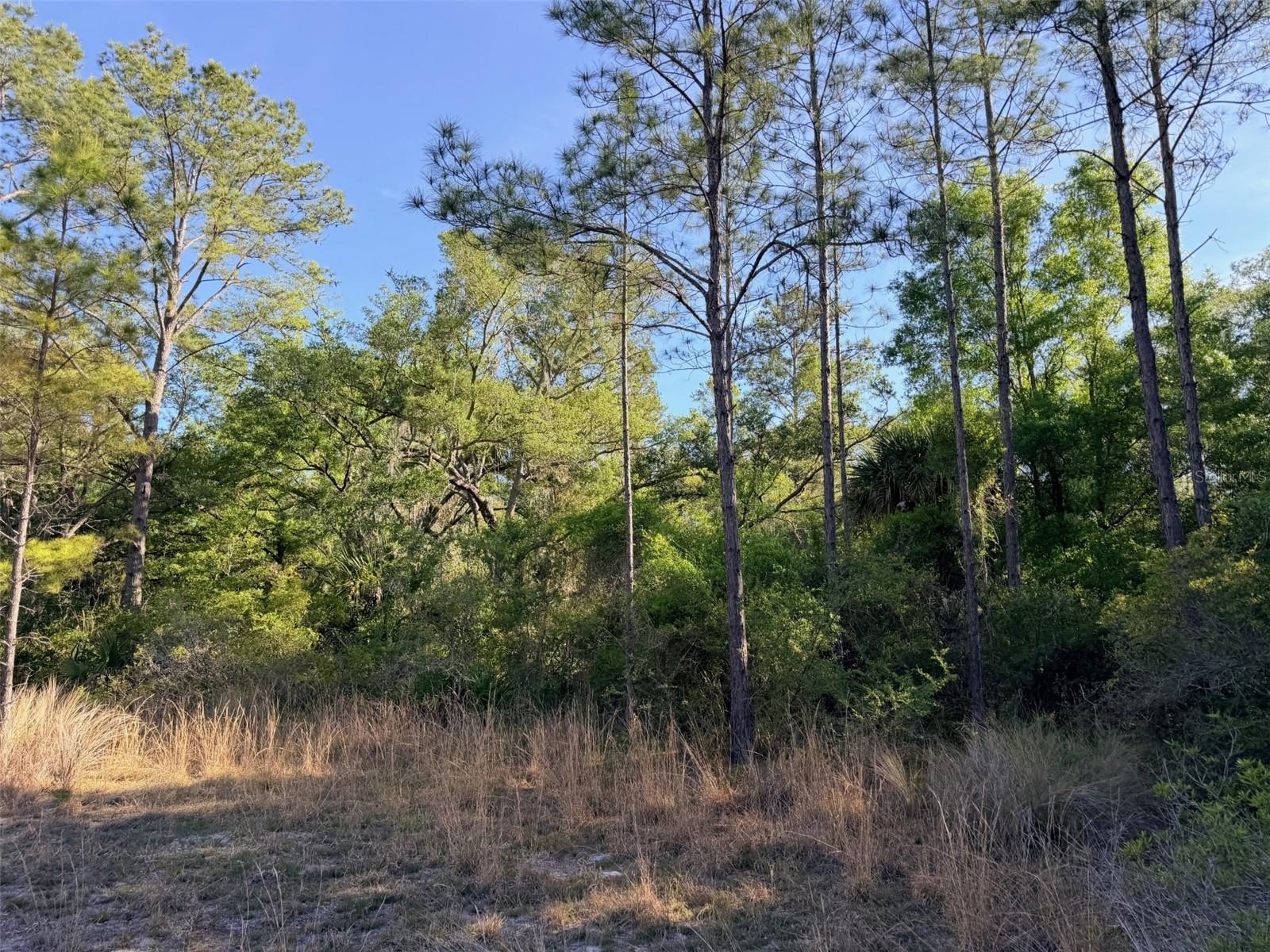 Image 9 of 22 For 6650 110th Avenue