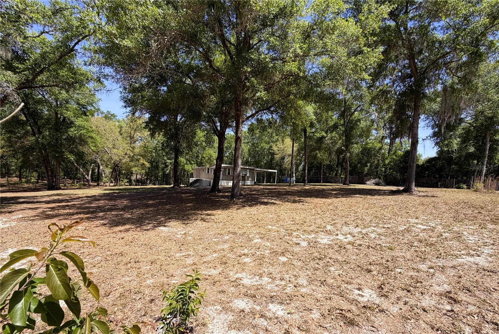 Image 9 of 24 For 7727 Cypress Street