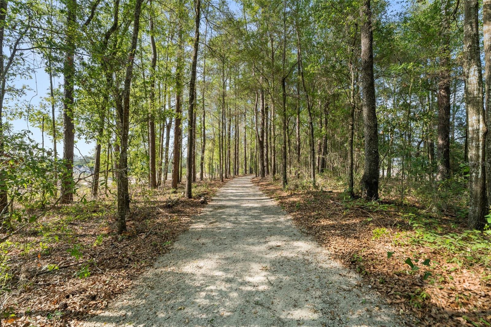 Image 51 of 57 For 1114 143rd Street