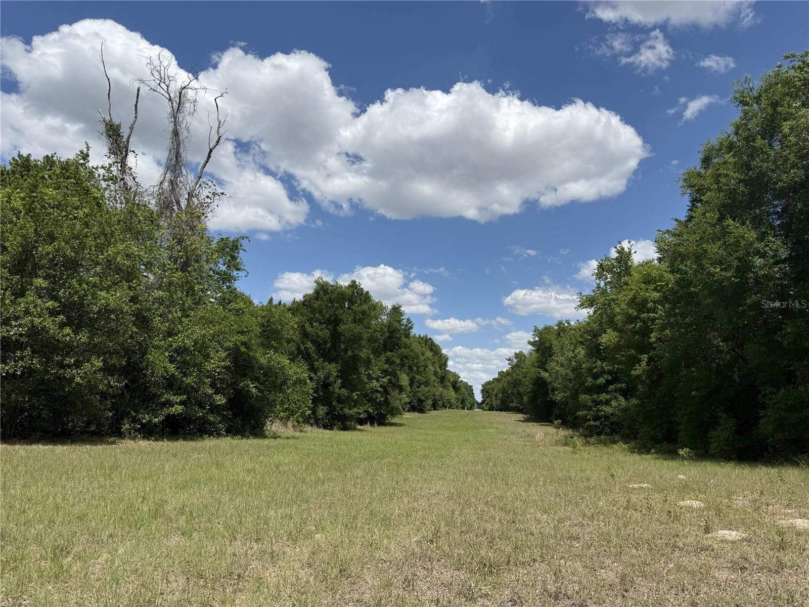 Details for 0 140th Street, CHIEFLAND, FL 32626