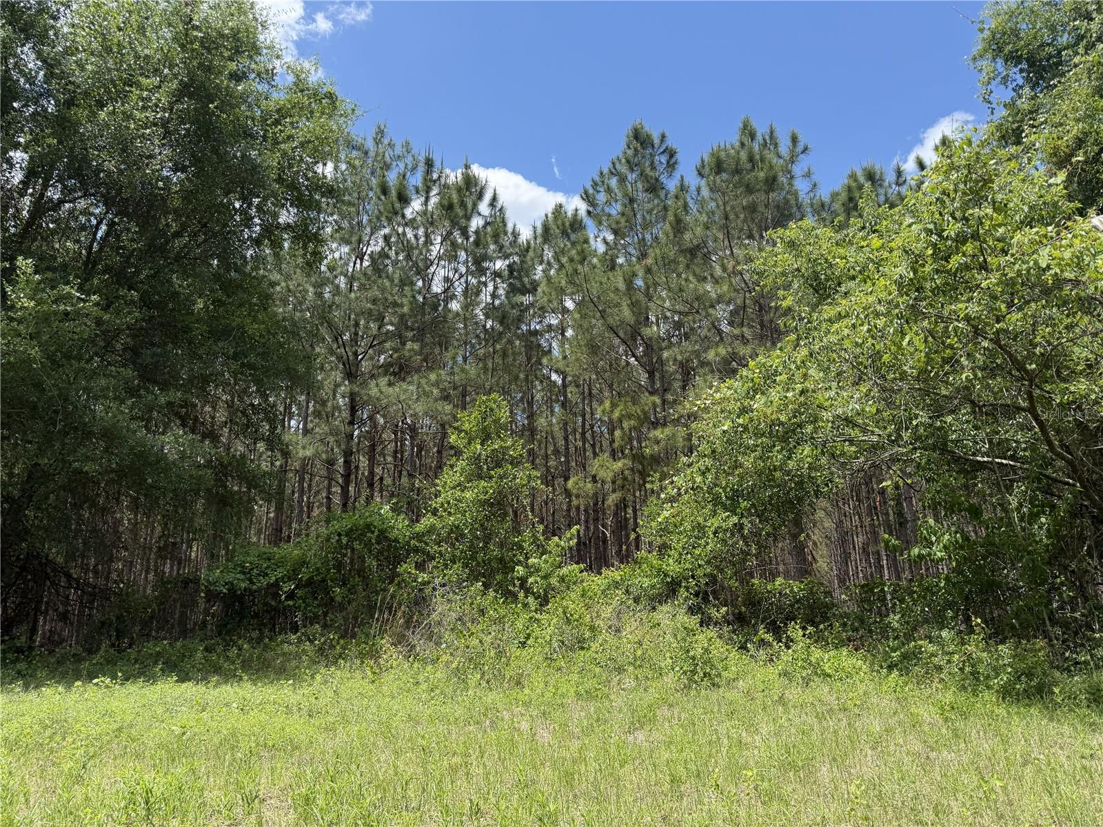Image 10 of 33 For 0 140th Street