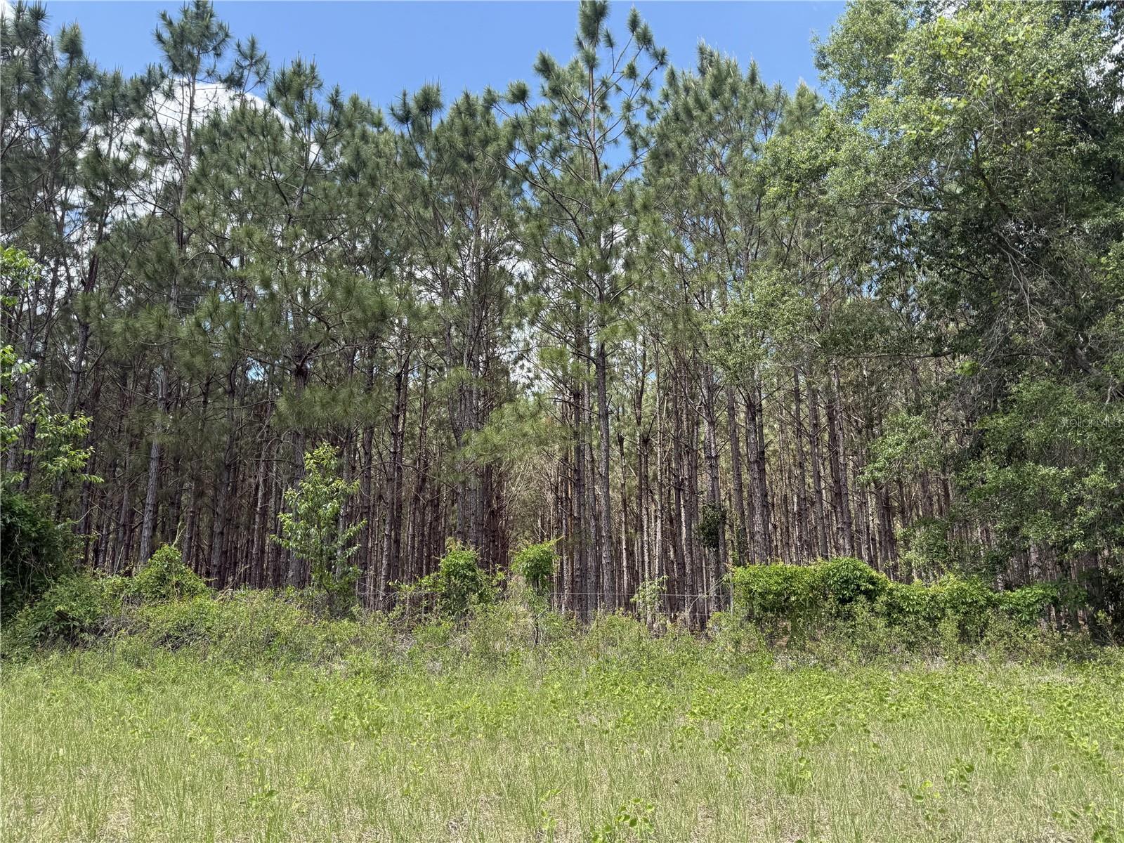 Image 11 of 33 For 0 140th Street