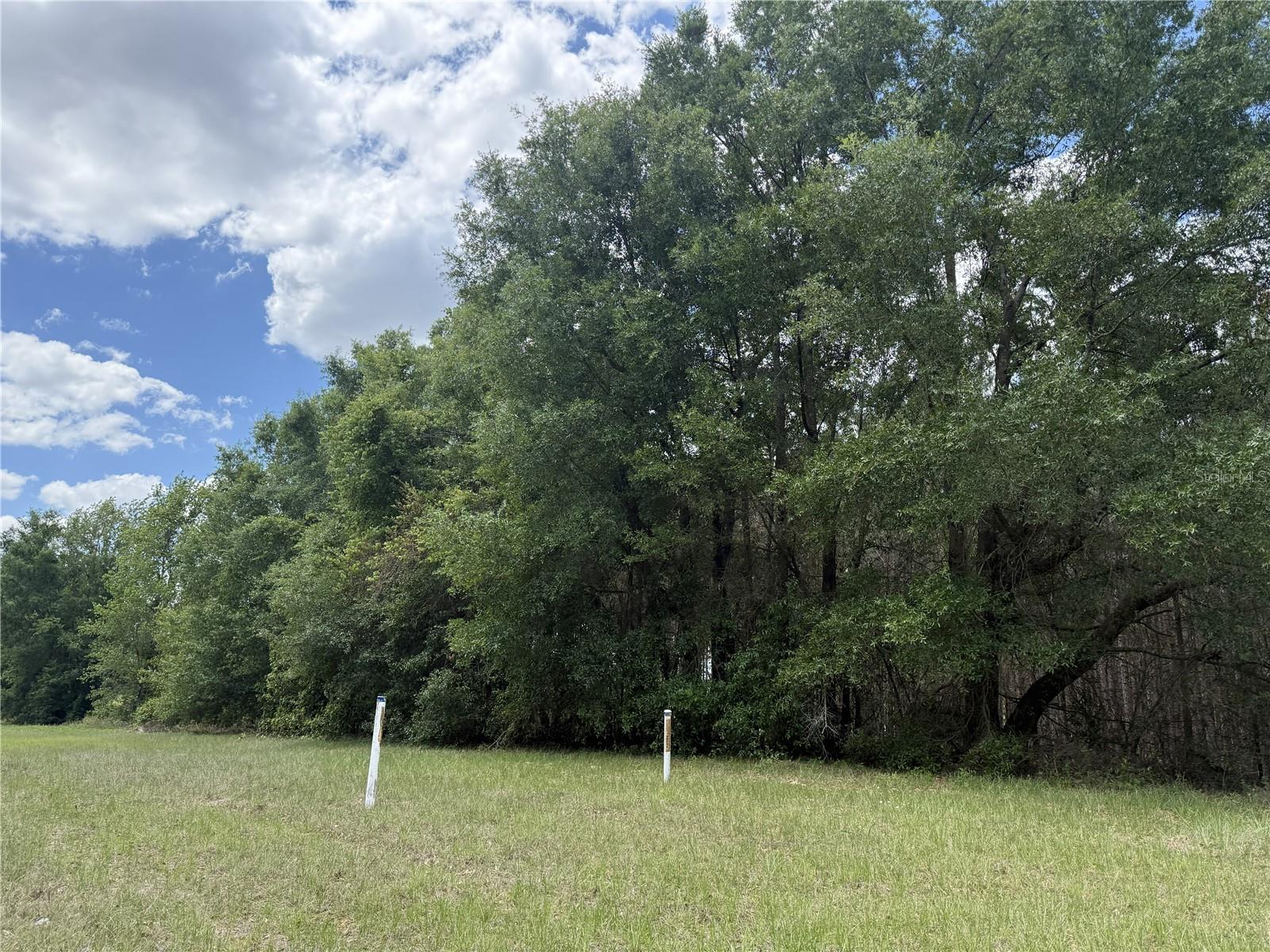 Image 15 of 33 For 0 140th Street