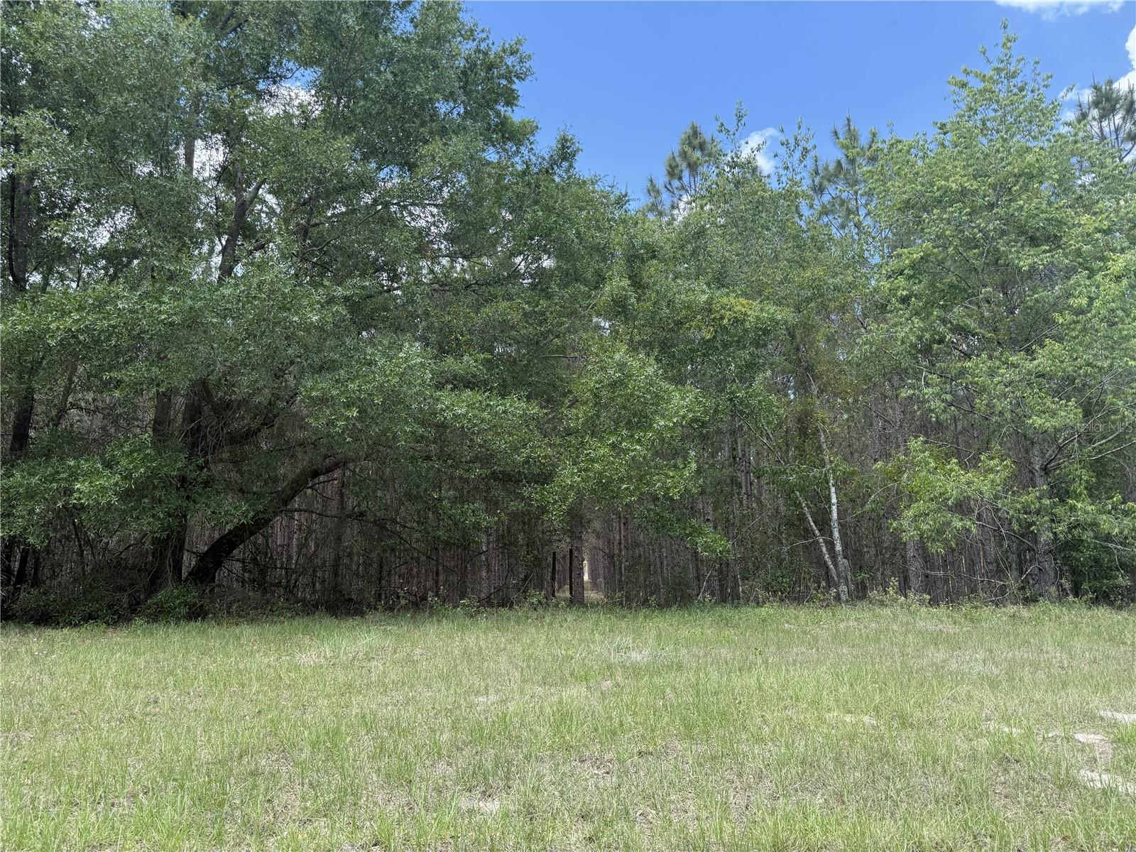 Image 16 of 33 For 0 140th Street
