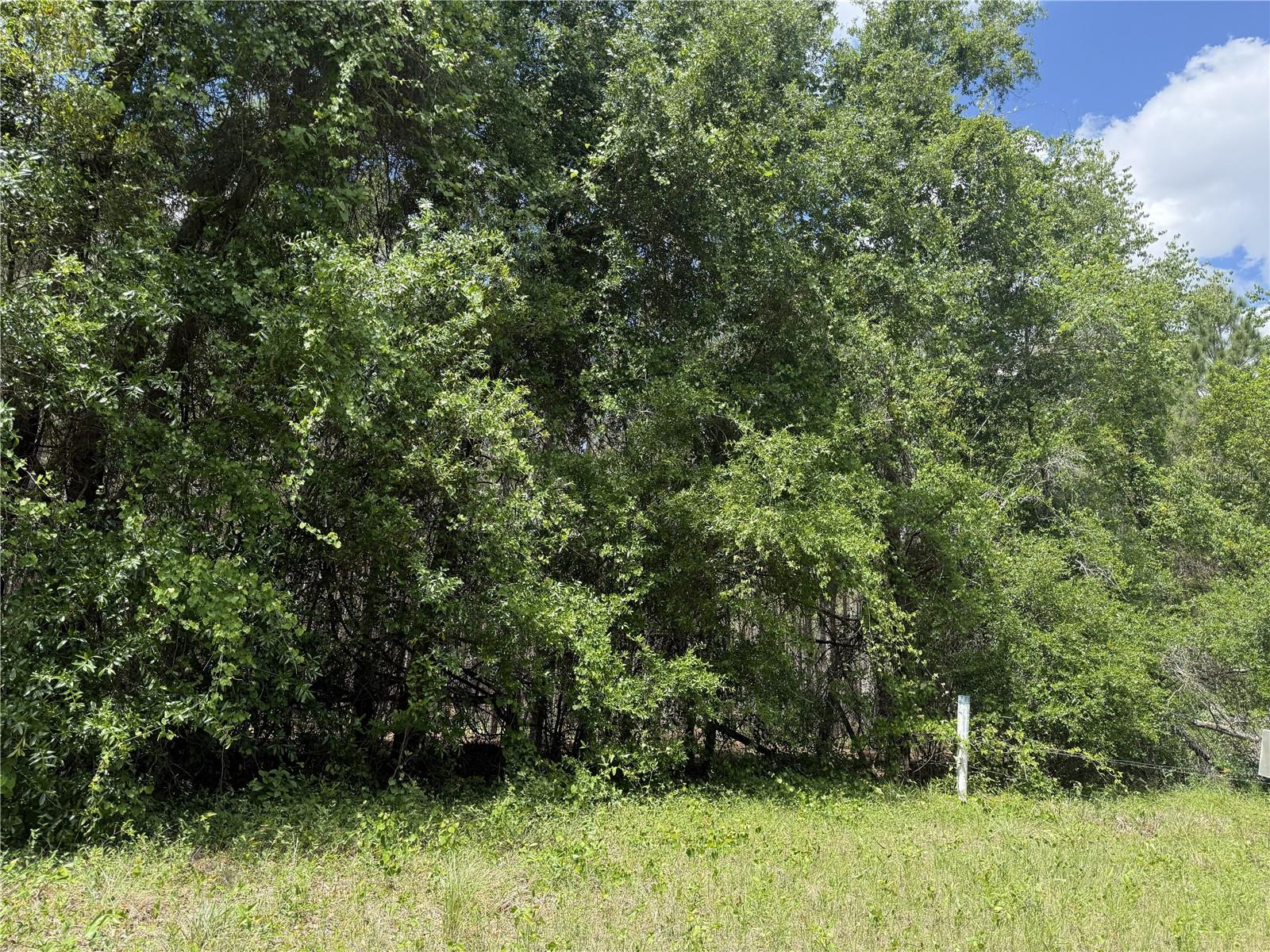 Image 7 of 33 For 0 140th Street