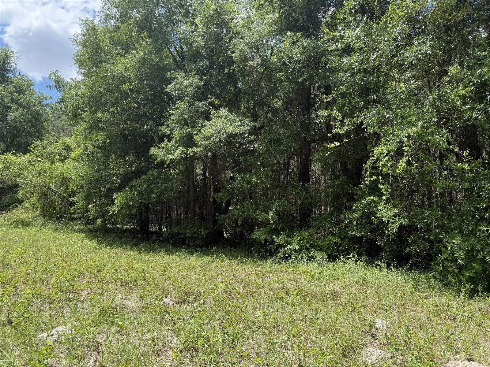 Image 8 of 33 For 0 140th Street