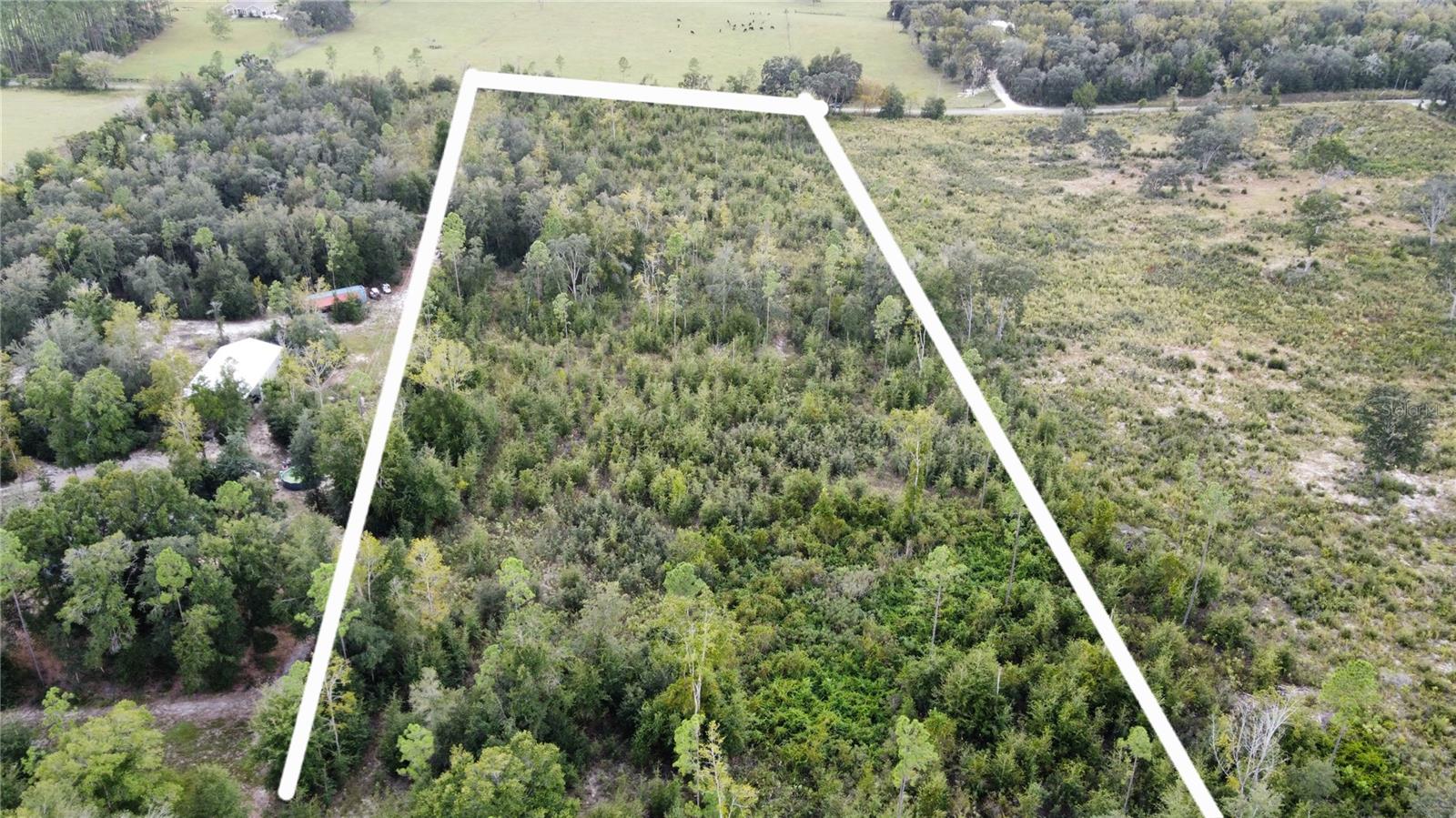 Details for 298th Street, NEWBERRY, FL 32669