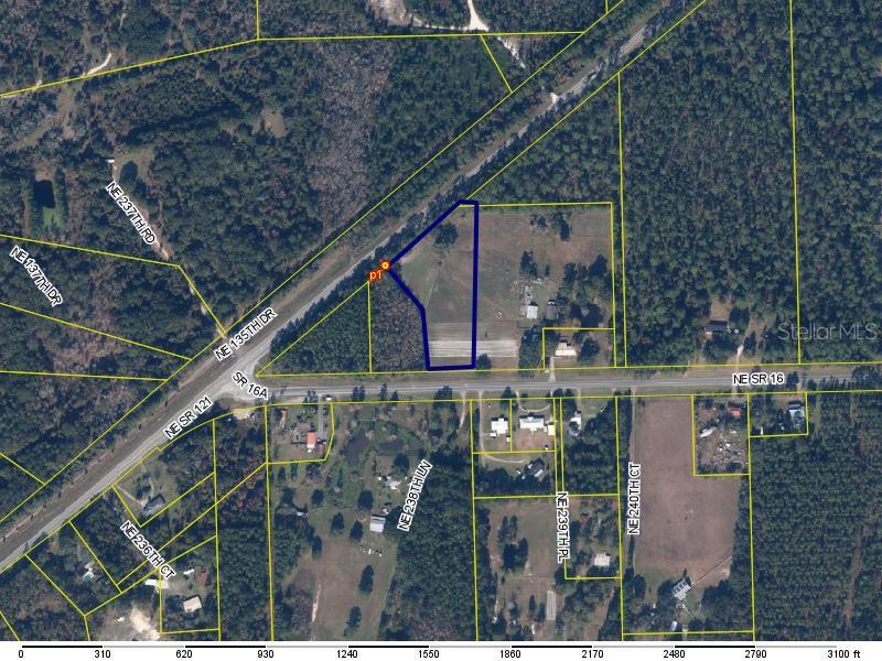 Listing Details for Ne State Road 16, RAIFORD, FL 32083