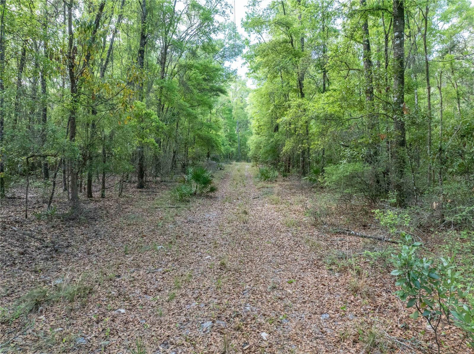 Image 15 of 31 For 290 Rattlesnake Glen