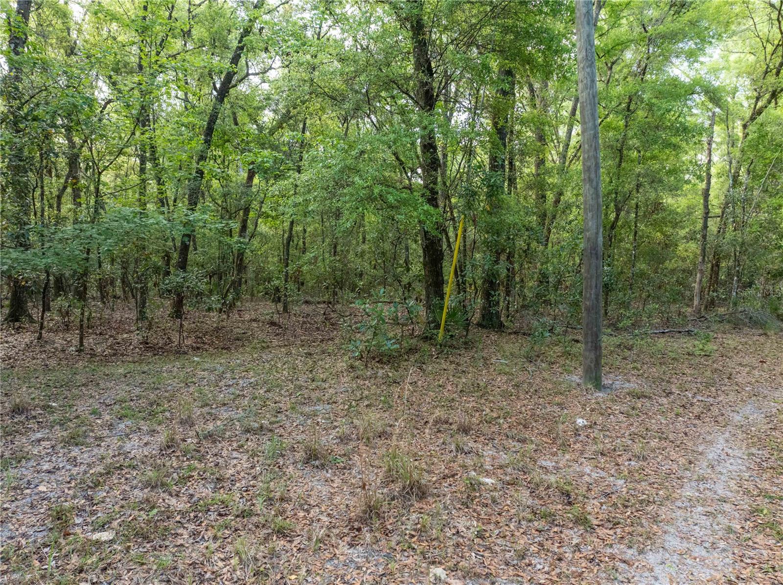 Image 16 of 31 For 290 Rattlesnake Glen