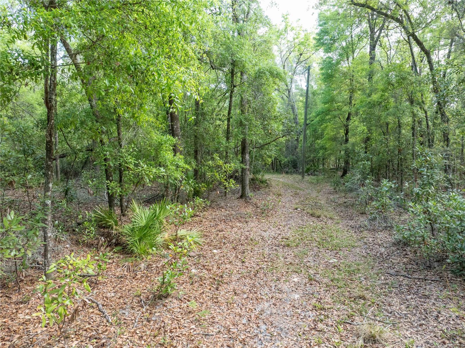 Image 19 of 31 For 290 Rattlesnake Glen