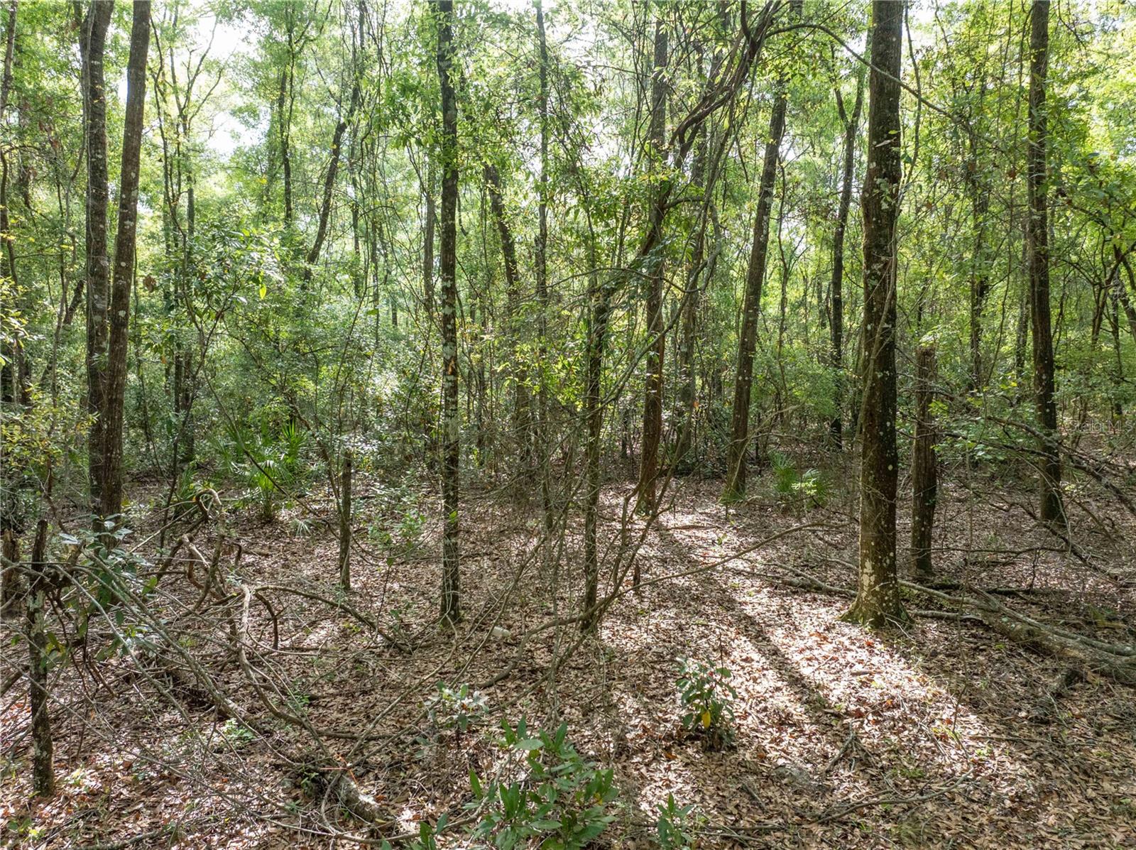 Image 20 of 31 For 290 Rattlesnake Glen