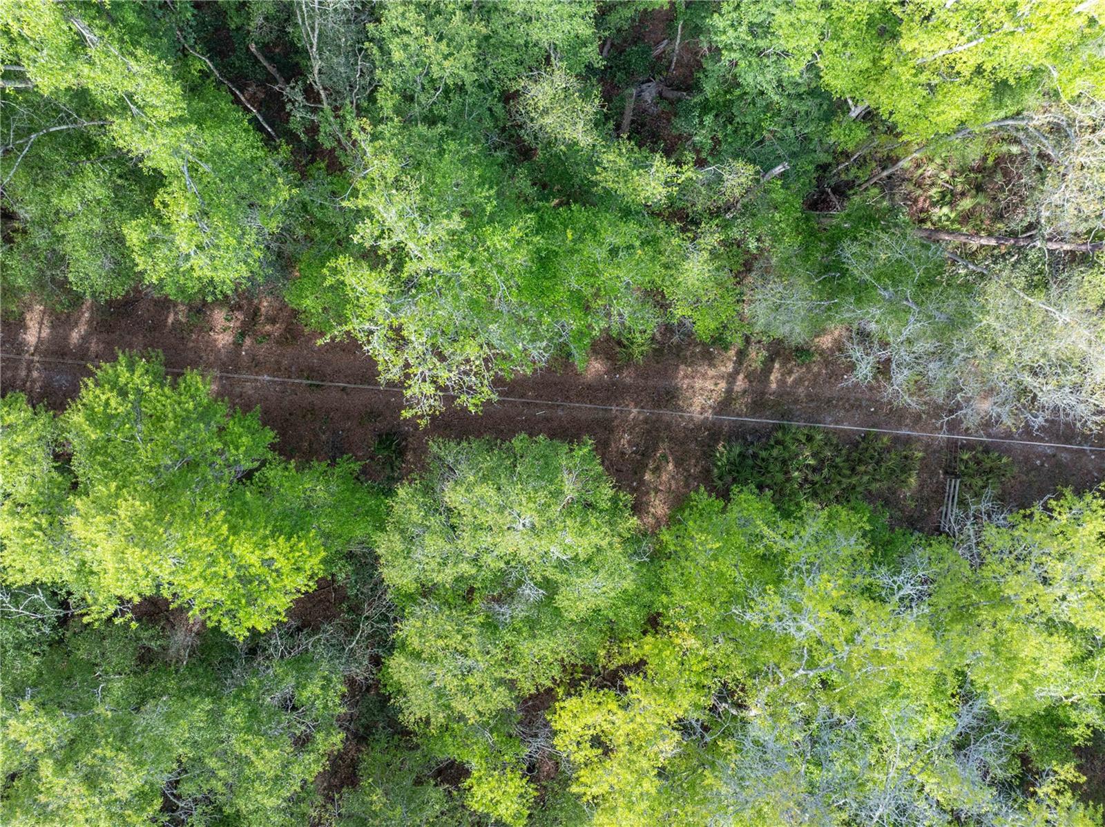 Image 31 of 31 For 290 Rattlesnake Glen