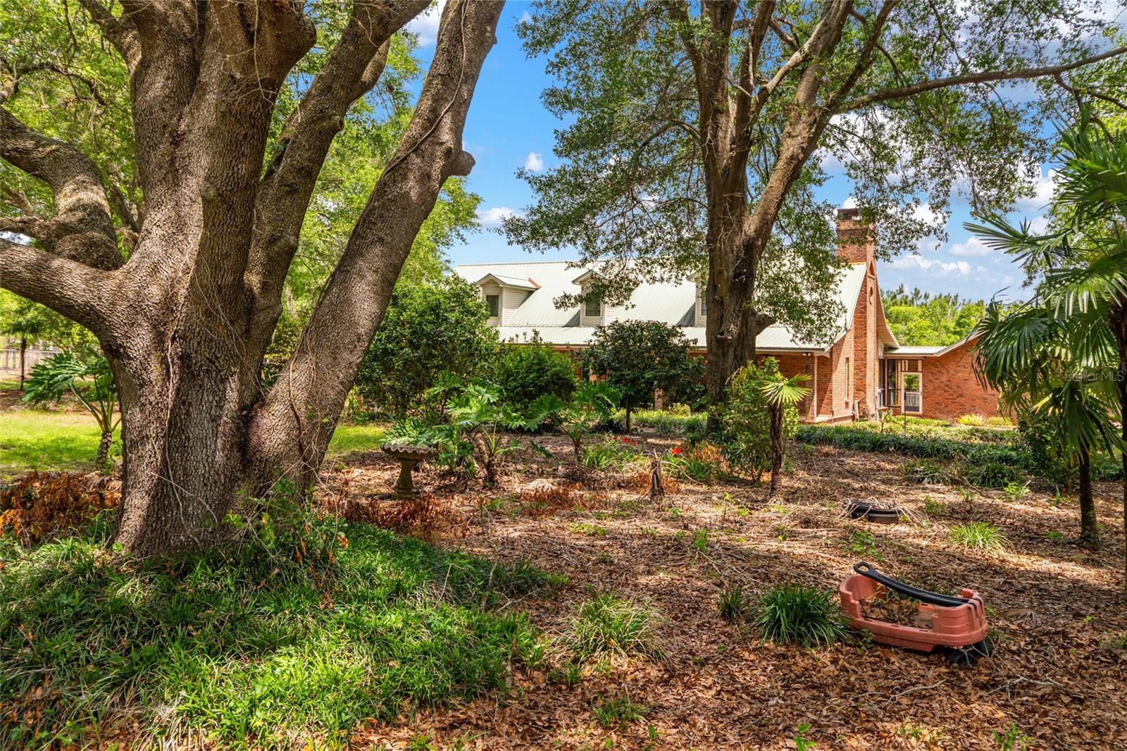 Image 10 of 94 For 272 County Road 337