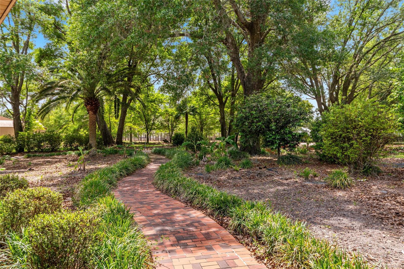 Image 62 of 94 For 272 County Road 337