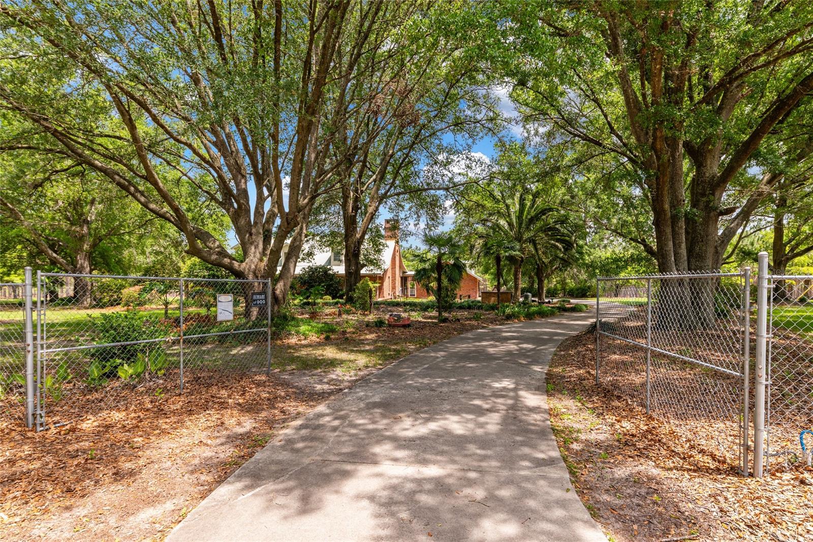 Image 8 of 94 For 272 County Road 337