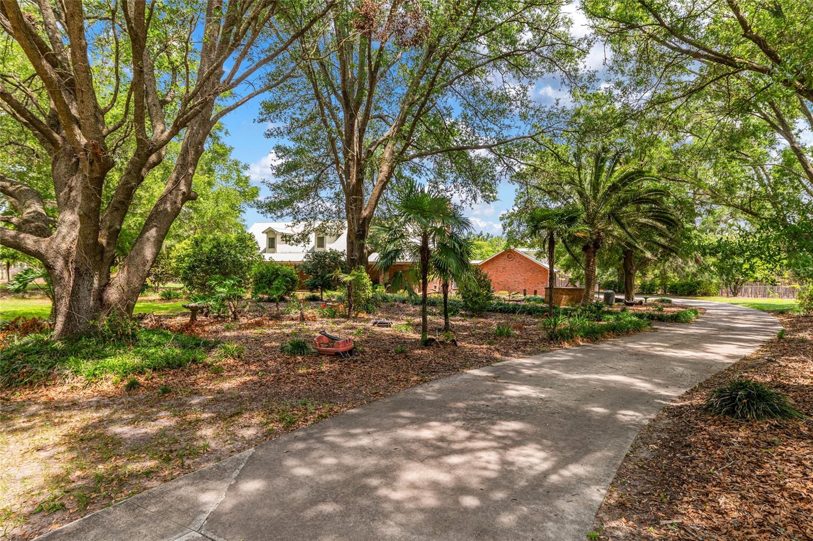 Image 9 of 94 For 272 County Road 337