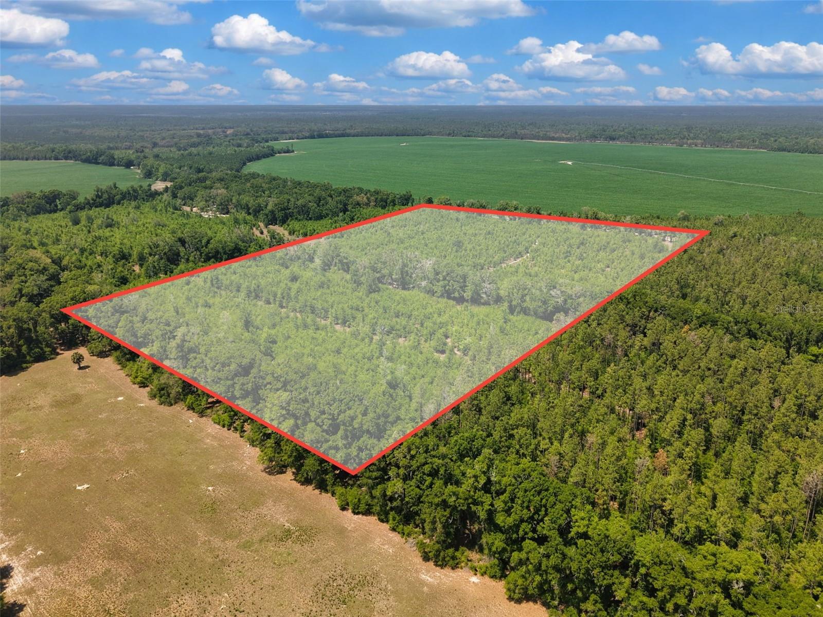 Details for Tbd 000 998th Avenue, BRANFORD, FL 32008