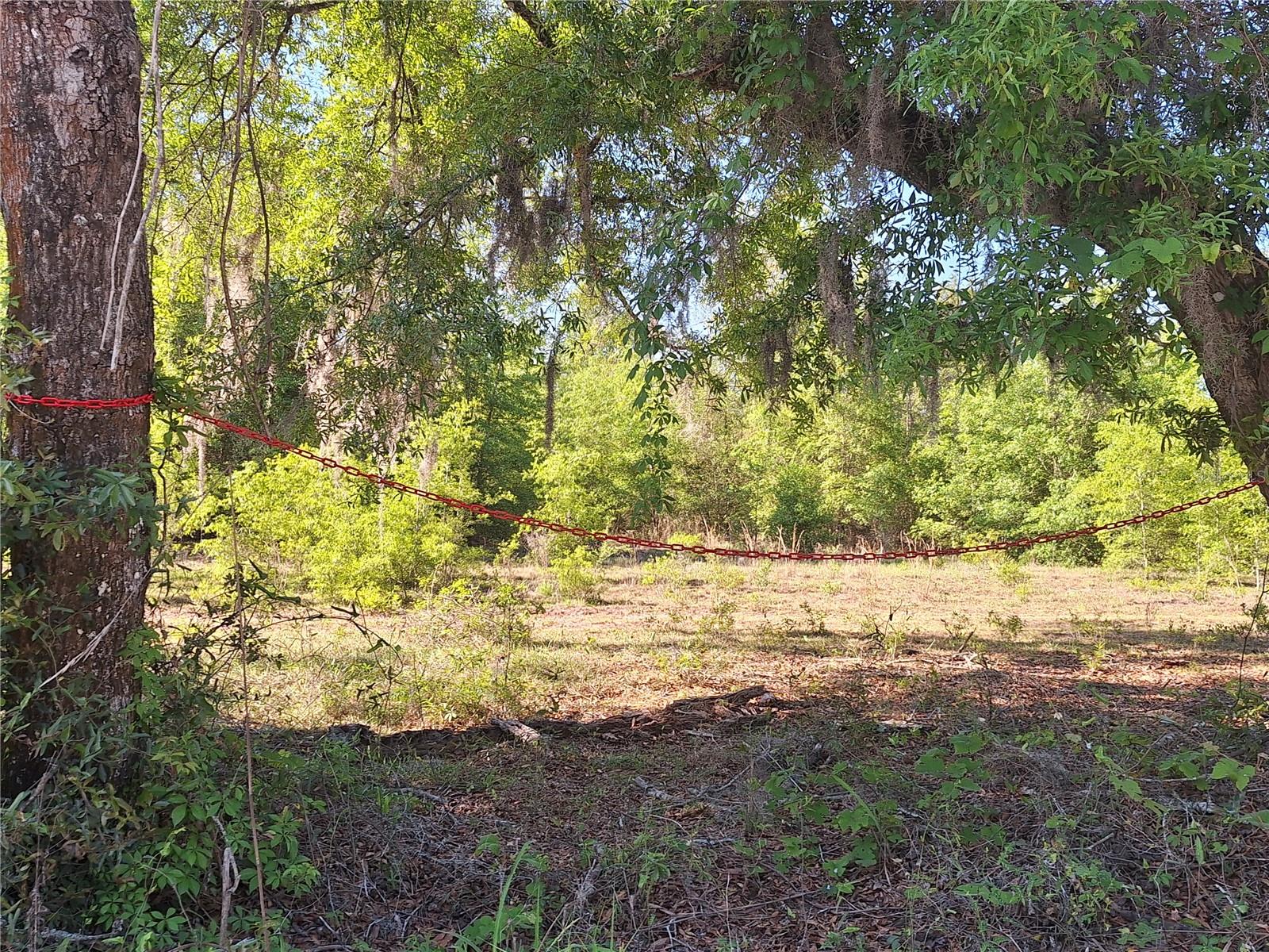 Image 10 of 24 For Tbd 000 998th Avenue