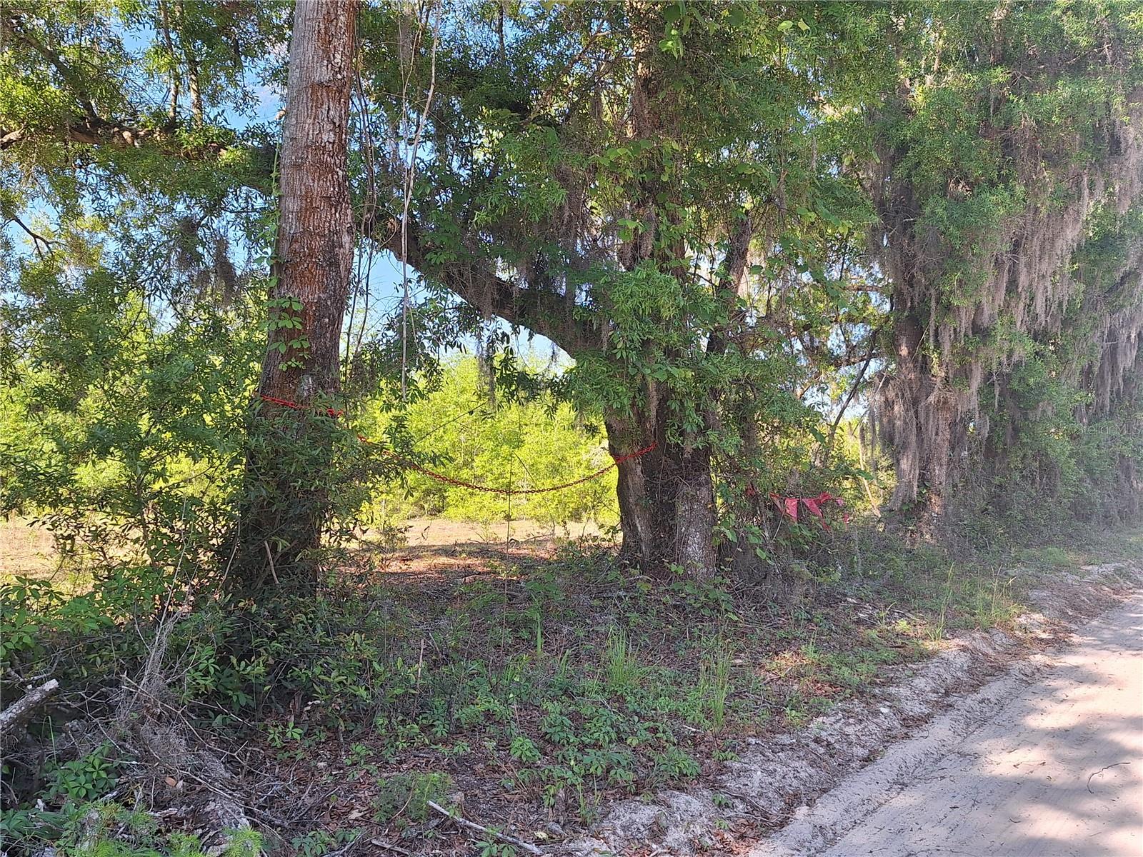 Image 11 of 24 For Tbd 000 998th Avenue