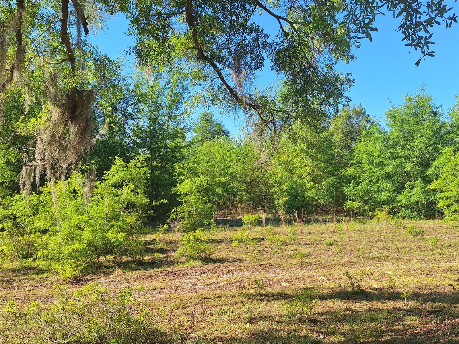 Image 12 of 24 For Tbd 000 998th Avenue