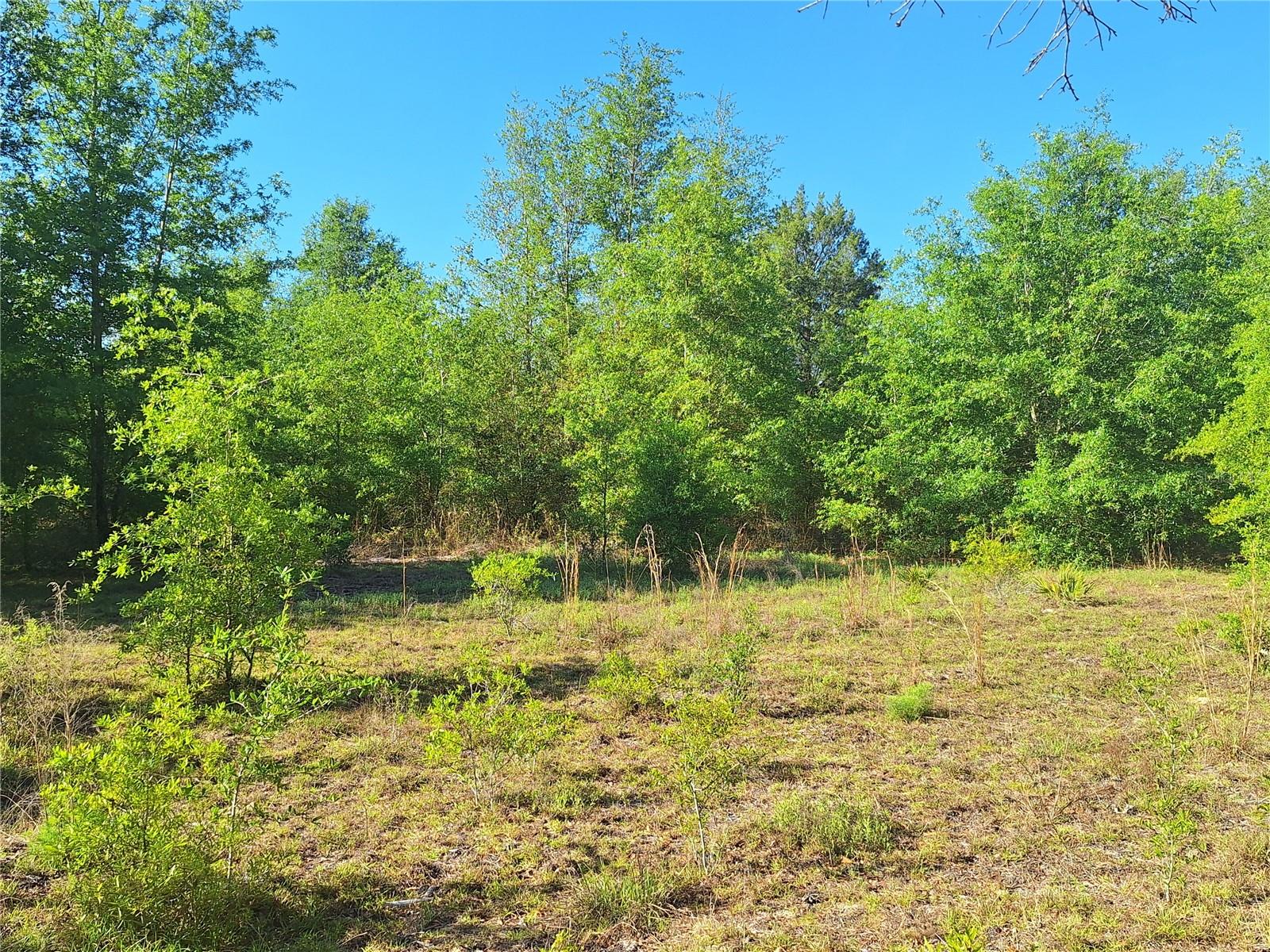 Image 14 of 24 For Tbd 000 998th Avenue