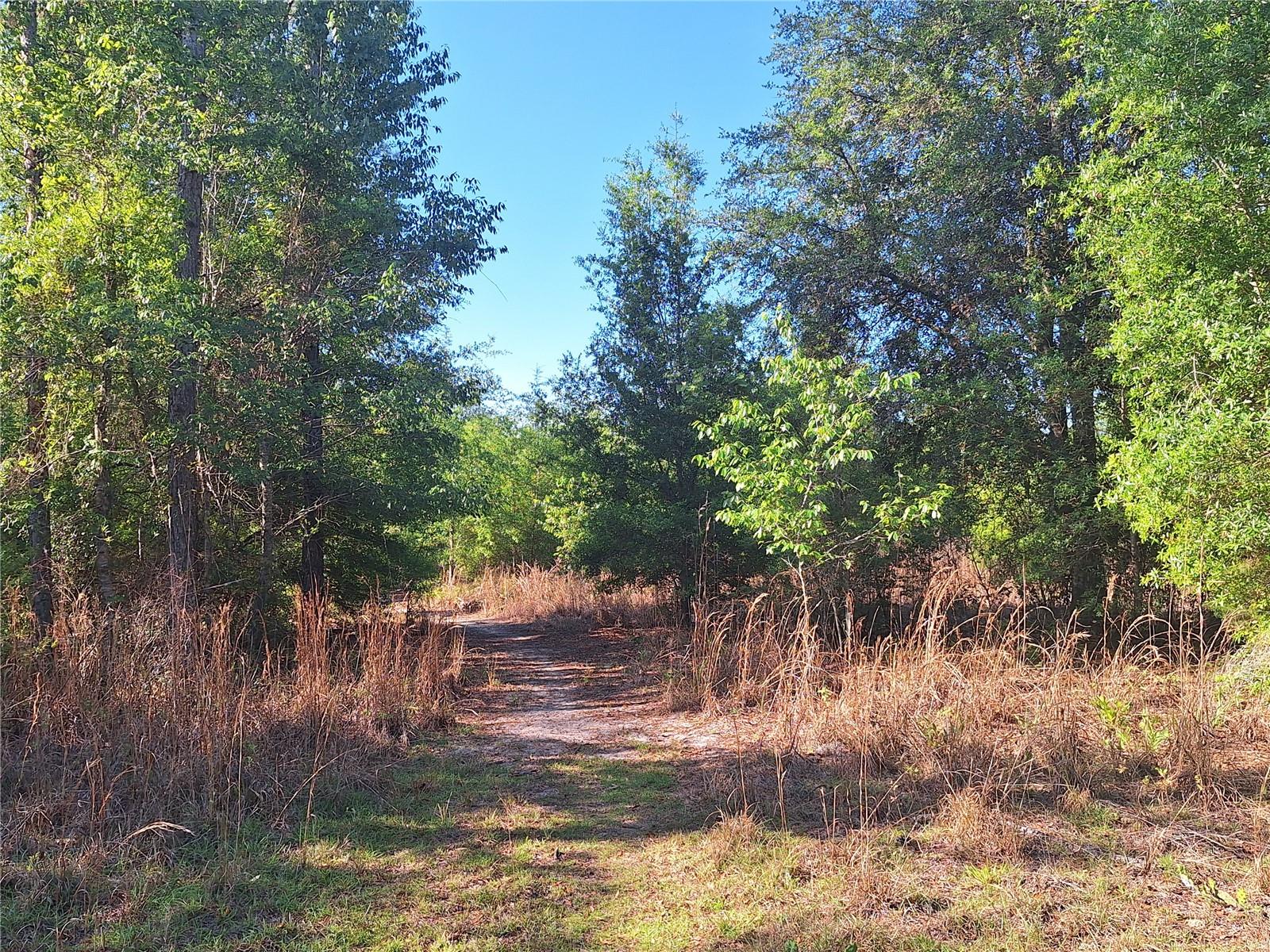 Image 15 of 24 For Tbd 000 998th Avenue