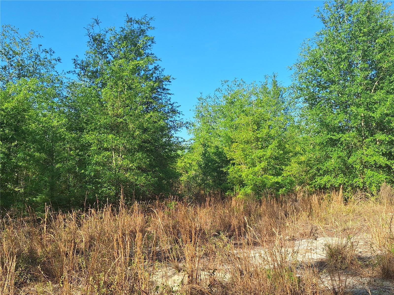 Image 16 of 24 For Tbd 000 998th Avenue