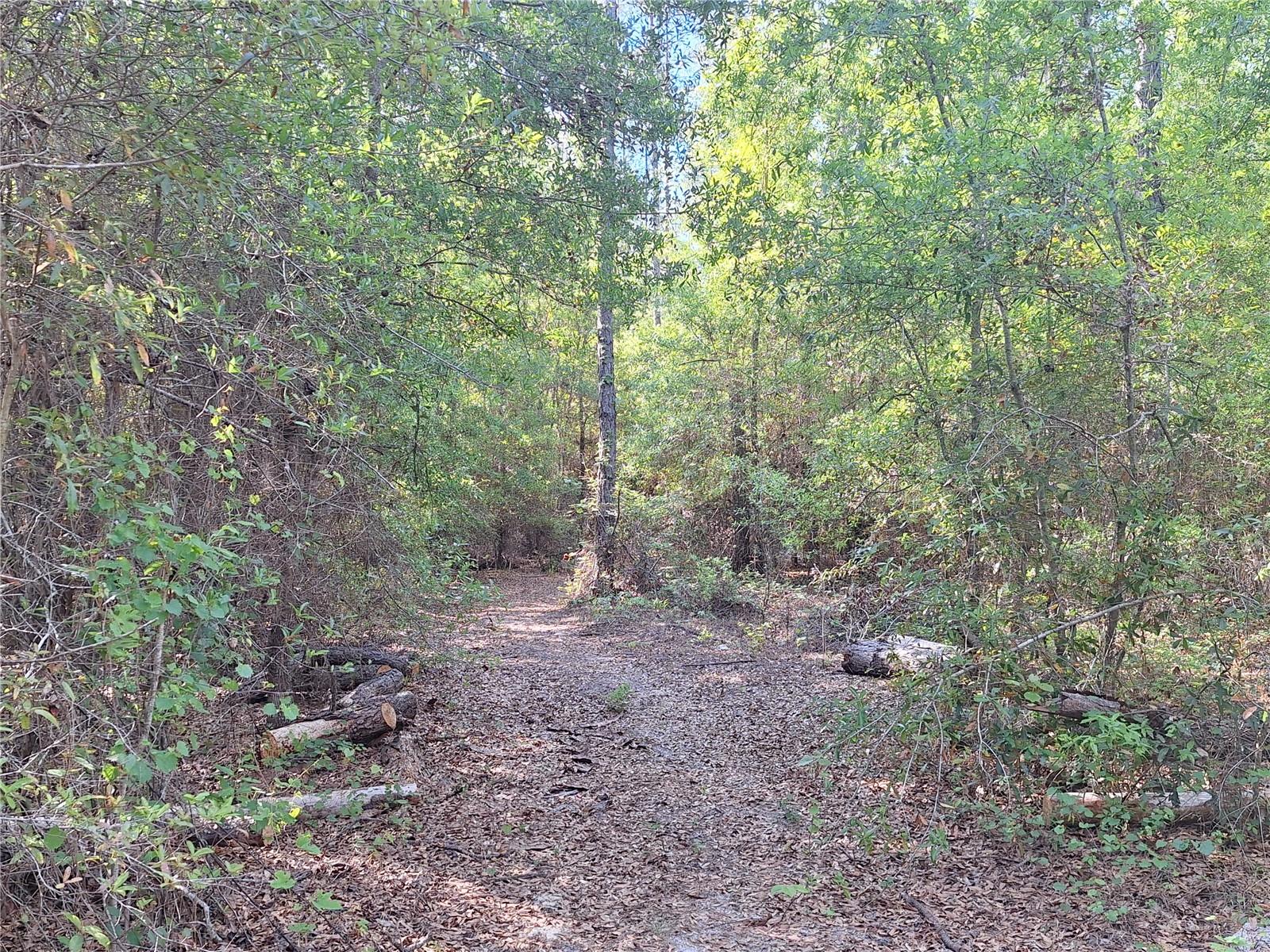 Image 18 of 24 For Tbd 000 998th Avenue