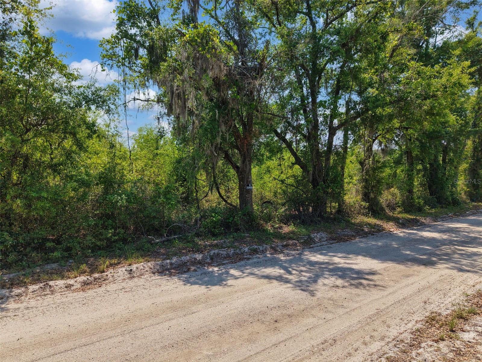 Image 23 of 24 For Tbd 000 998th Avenue