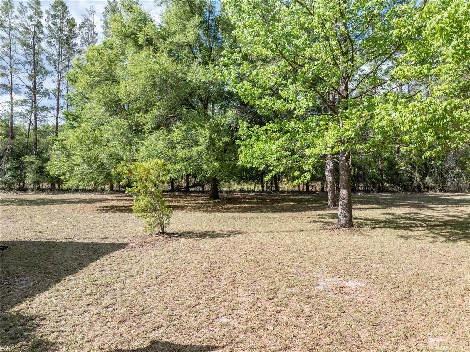 Image 31 of 43 For 159 70th Avenue