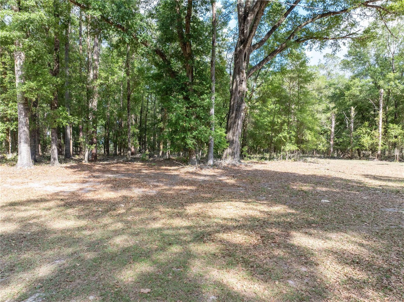 Image 33 of 43 For 159 70th Avenue
