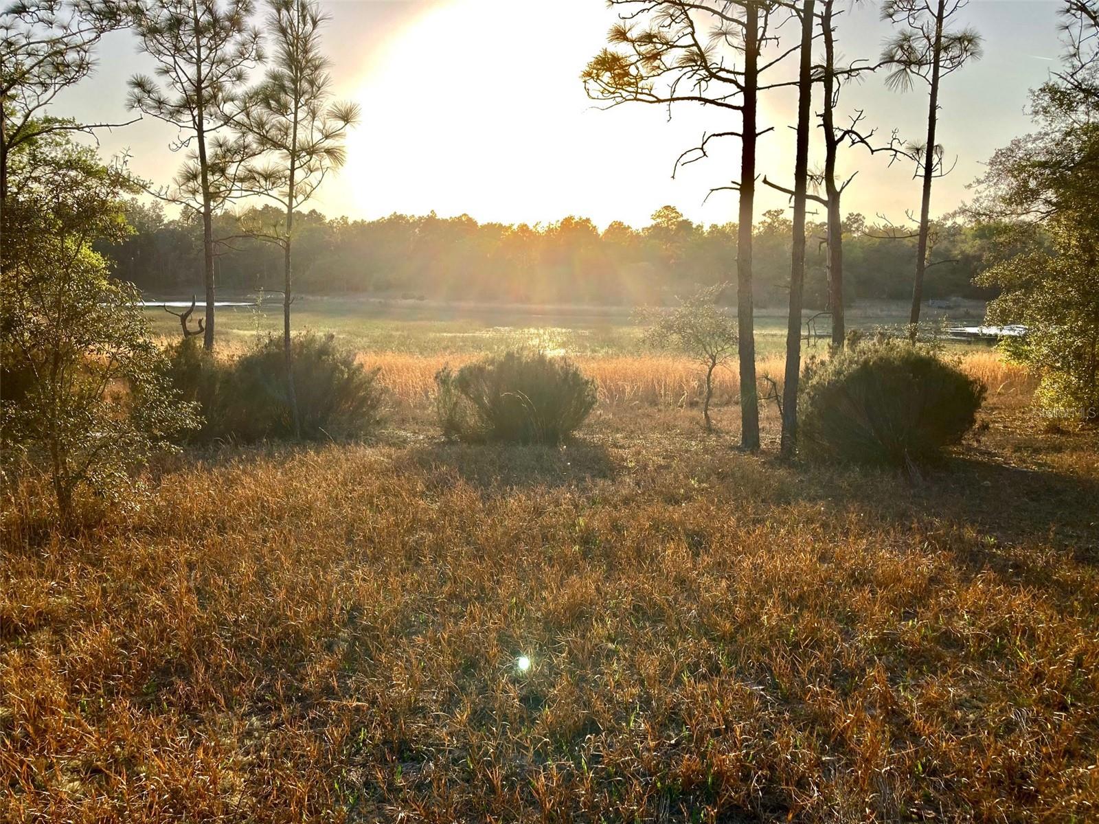 Listing photo id 16 for 105 Slipper Way