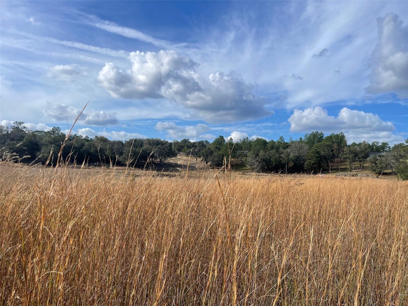 Listing photo id 17 for 105 Slipper Way