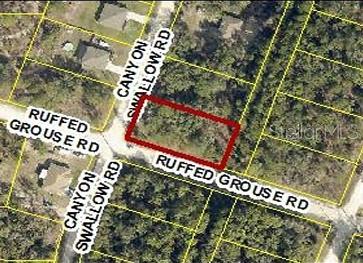 Details for 0 Canyon Swallow Rd (parcel Key, WEEKI WACHEE, FL 34614