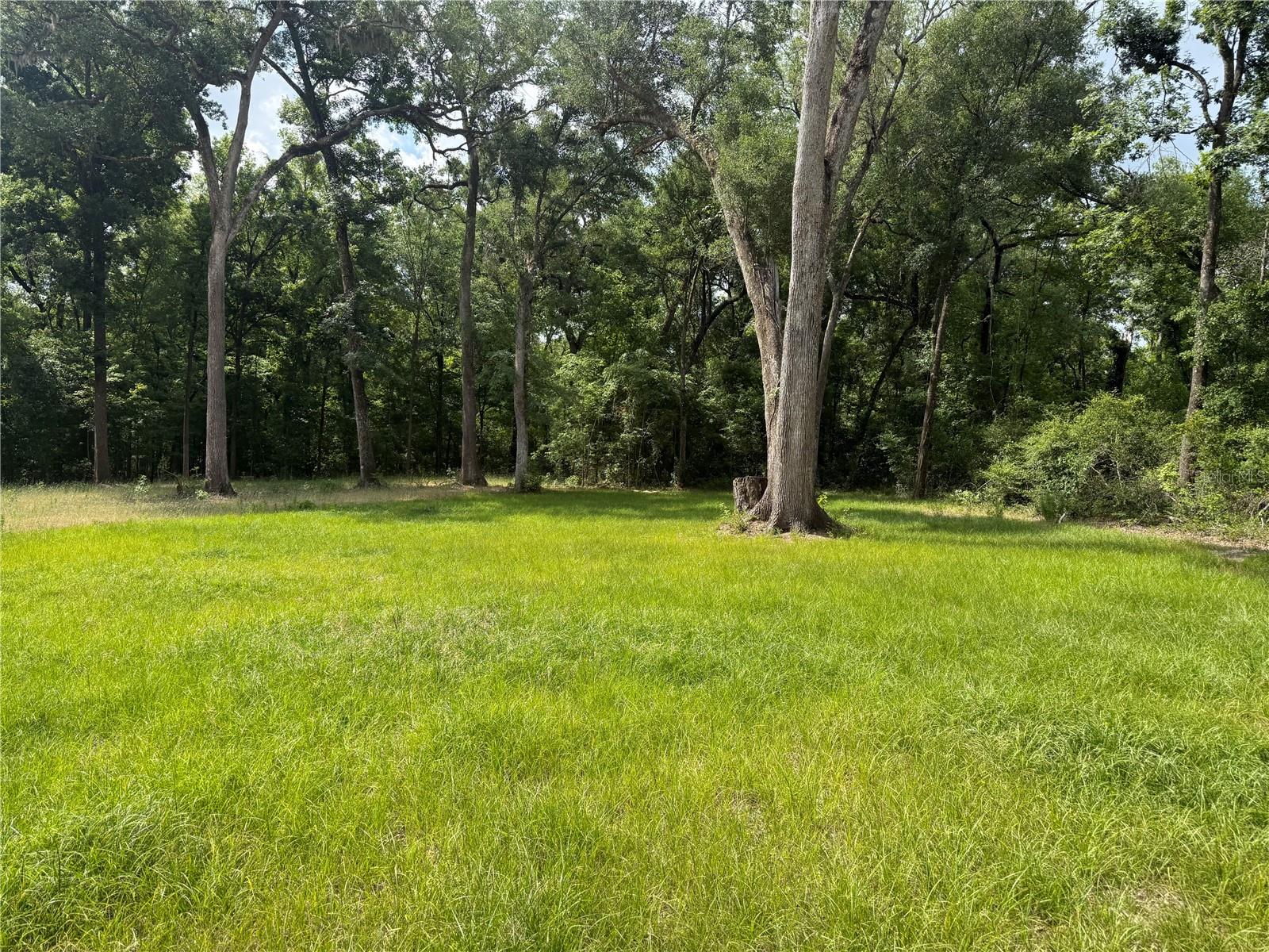 Image 6 of 14 For Tbd 292nd St
