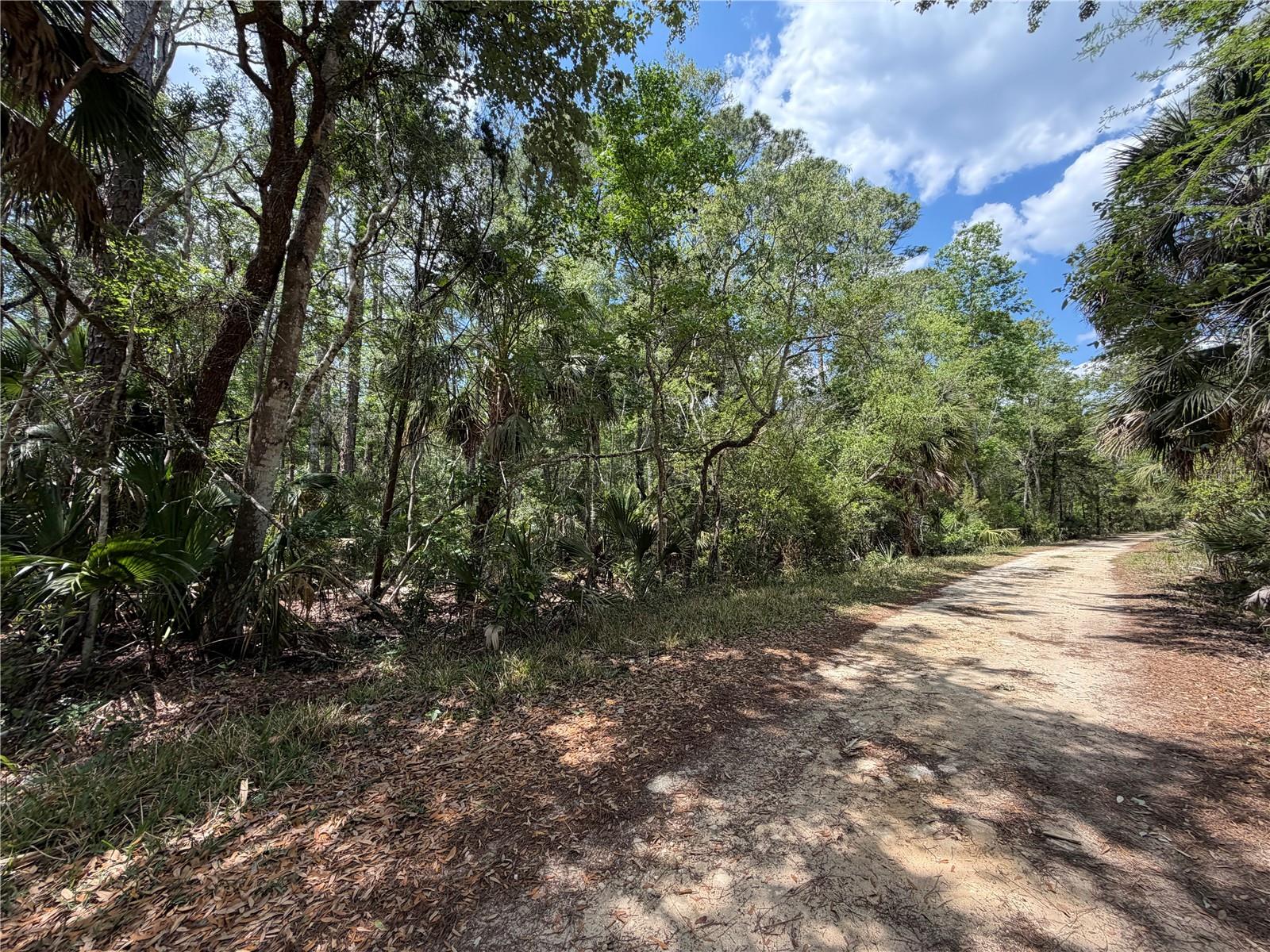 Image 10 of 29 For Tbd Cr-347  