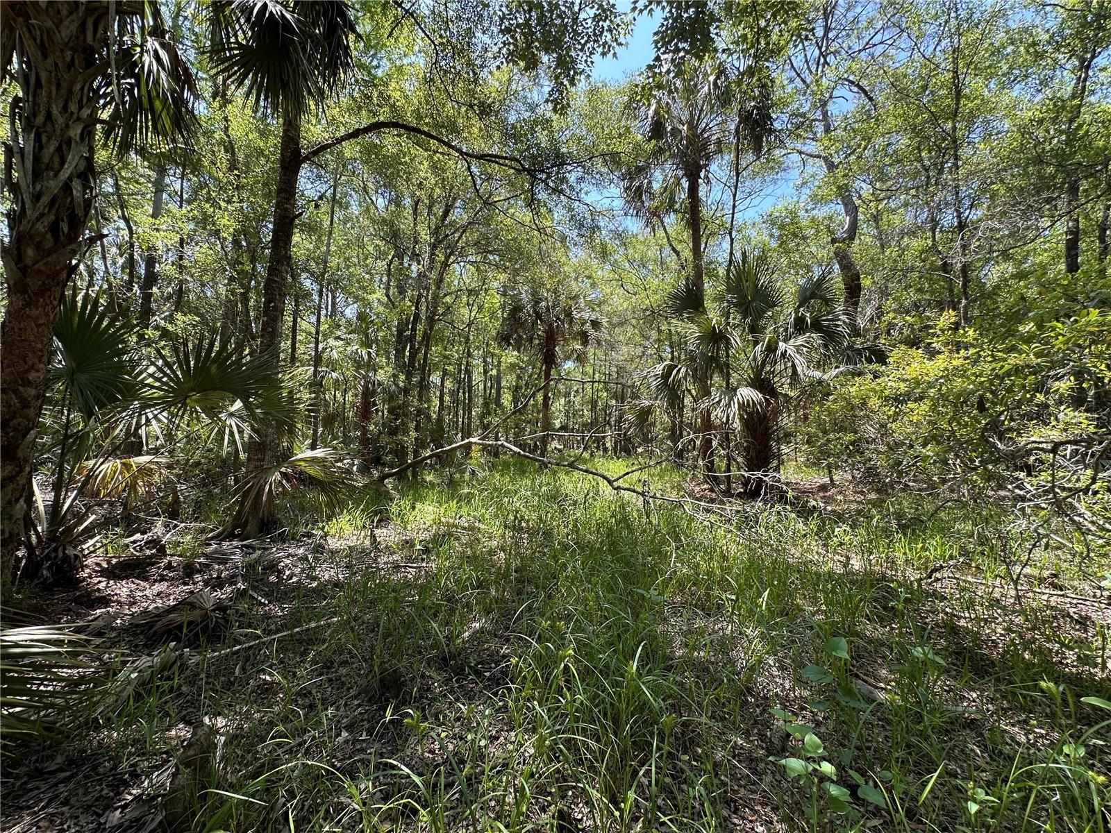 Image 11 of 29 For Tbd Cr-347  
