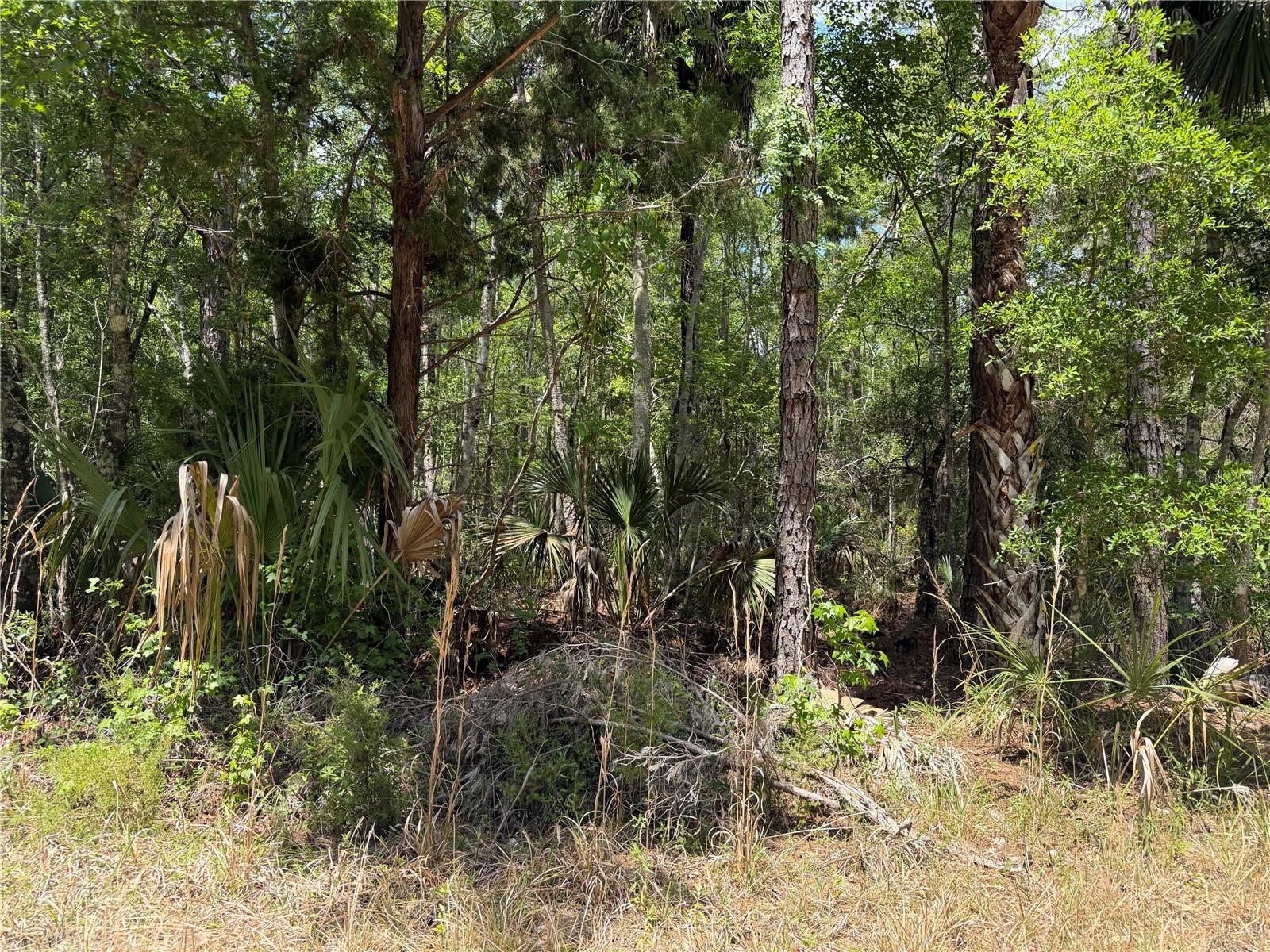 Image 17 of 29 For Tbd Cr-347  